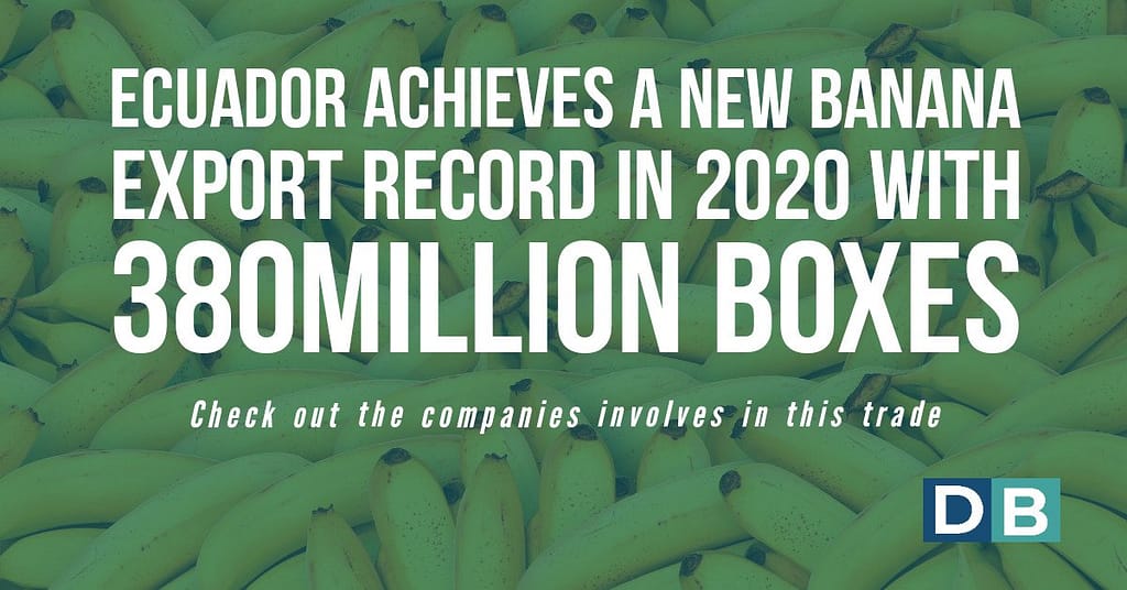 Ecuador achieves a new banana export record in 2020 with 380 million boxes