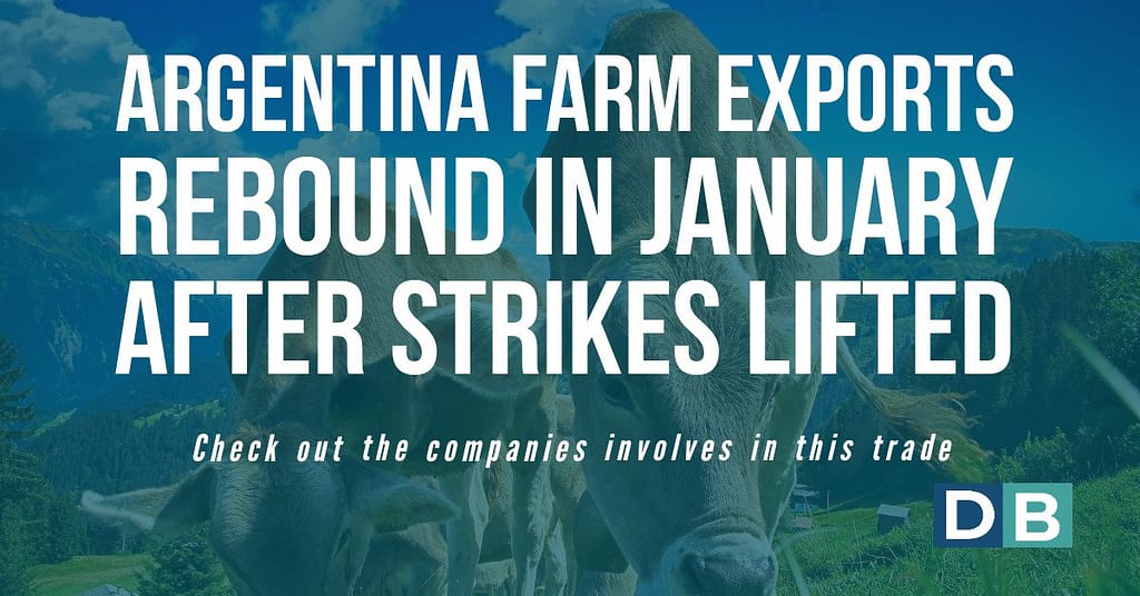 Argentina farm exports rebound in January after strikes lifted
